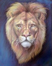 Портрет старого льва