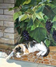 "Кошка Дашка, задремавшая в тени винограда, ...