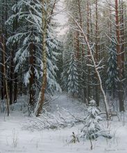 ...и дремлет зимний лес